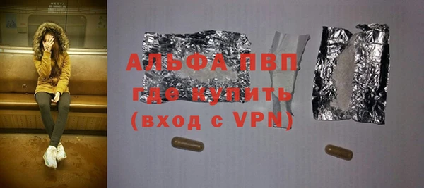 стаф Козельск