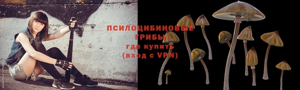 прущая мука Кодинск