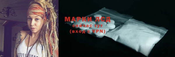 стаф Козельск