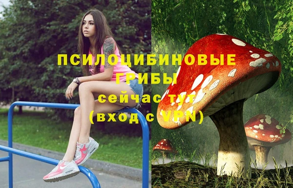 твердый Костерёво