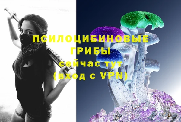стаф Козельск
