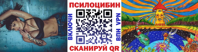 Купить  Белинский  Псилоцибиновые грибы прущие грибы 